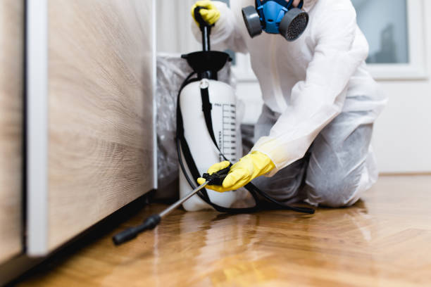 Best Pest Control Near Me  in West Point, VA