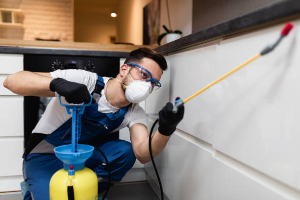 Best Best Pest Control Companies  in West Point, VA