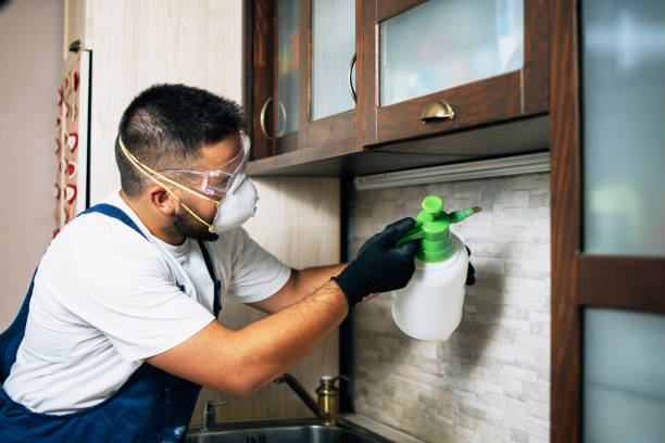 Best Affordable Pest Control Services  in West Point, VA