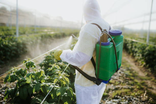 Best Mosquito Control Services  in West Point, VA